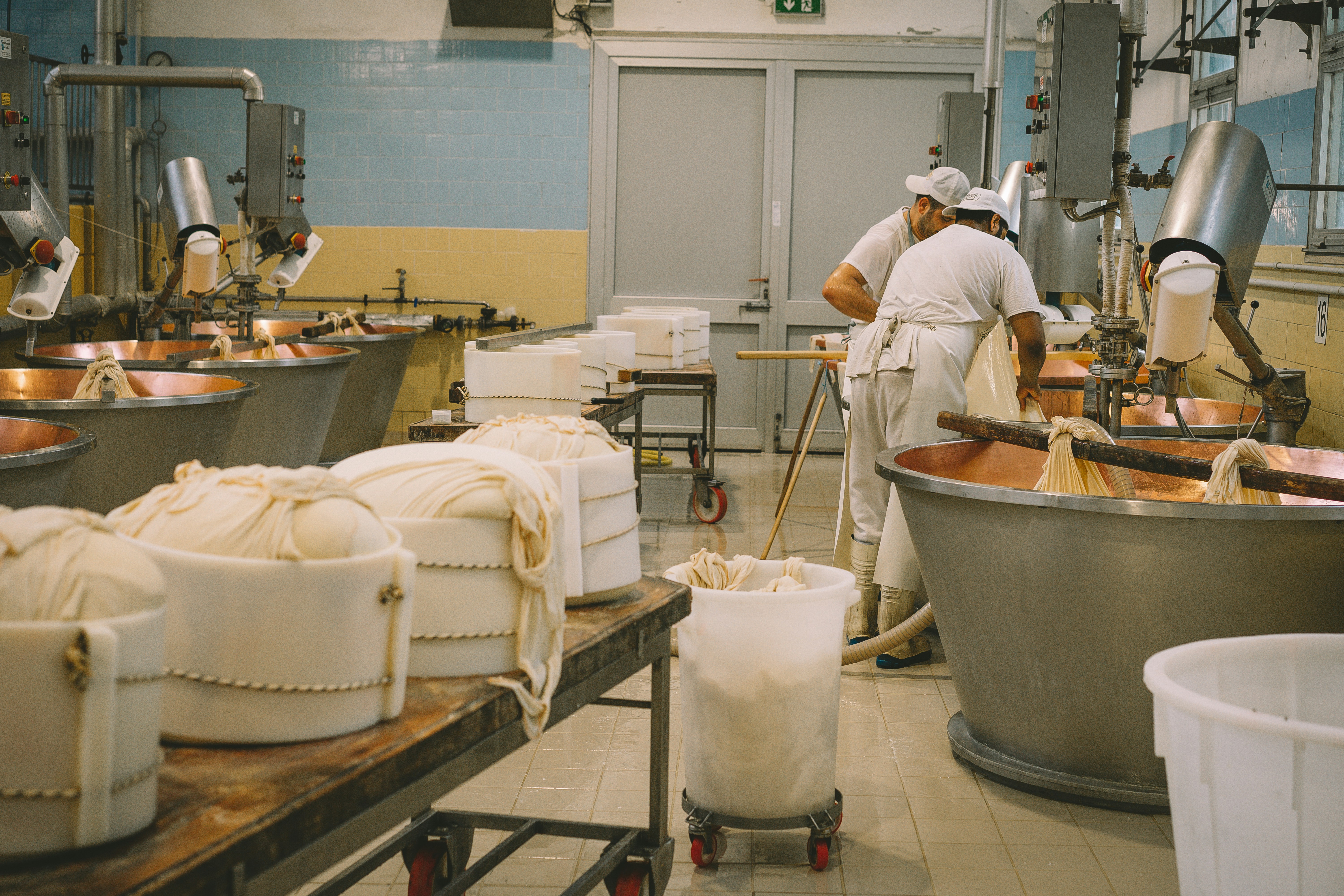 Alcune persone che lavorano in fabbrica
