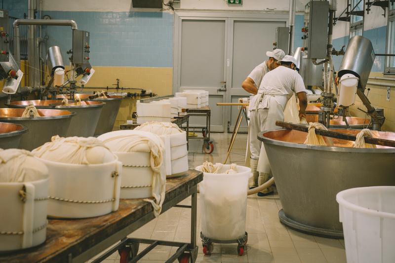 People working in a factory